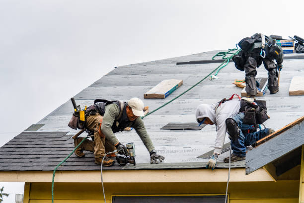 Professional Storm Damage Roof Repair technician working in Guy, TX